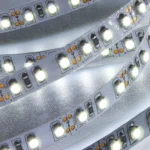 shutterstock 366795944 scaled